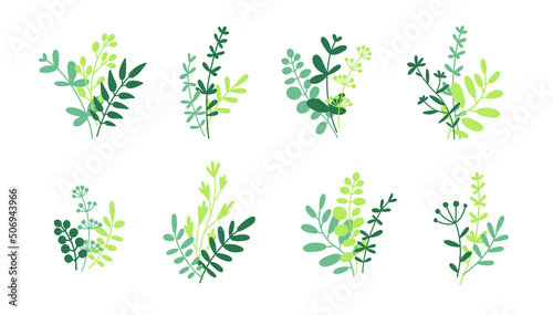 Herbs  twigs and leaves bunches isolated on white. Bundle of green herbs vector flat illustration isolated on white.