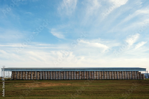 Bales of straw in a farm storage as a forage for cattle in winter