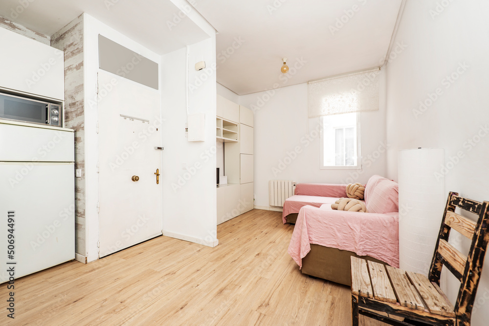 Fototapeta premium Studio apartment with furnished living room and open kitchen next to the entrance door