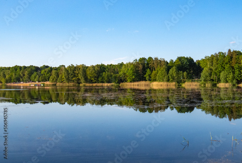 Symmetrical reflection of trees and sky in the lake