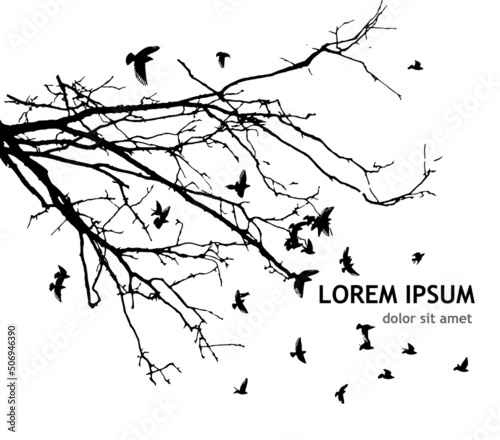Realistic illustration with silhouettes of three birds - crows or ravens sitting on tree branch without leaves and flying  isolated on white background - vector