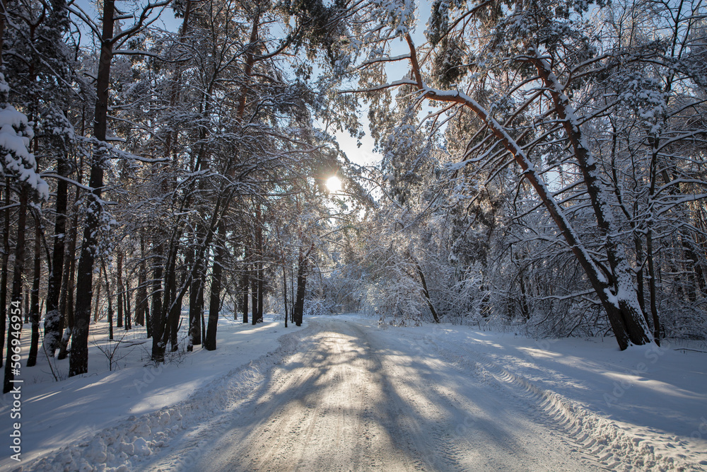 snowy winter road in forest. frosty sunny day. snowy winter road in forest. frosty sunny day.