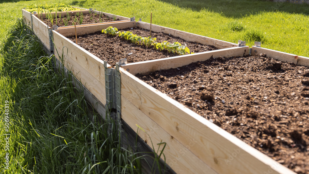 Elevated Raised Garden Bed at home garden for groving vegetable Elevated Raised Garden Bed at home garden for groving vegetable