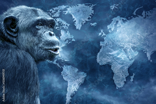 Photography The new pandemic is monkeypox
