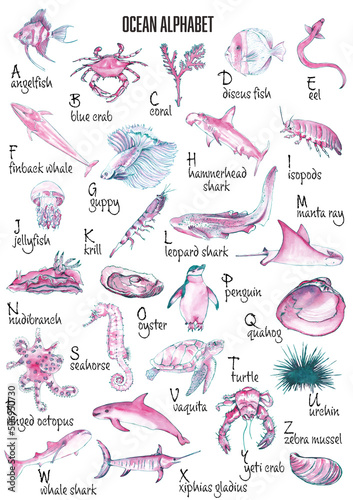 Ocean alphabet. Abc poster with sea animals. Ocean animals and sea life  illustrations. English alphabet isolated on white. Watercolor paintings.  Stock Illustration | Adobe Stock