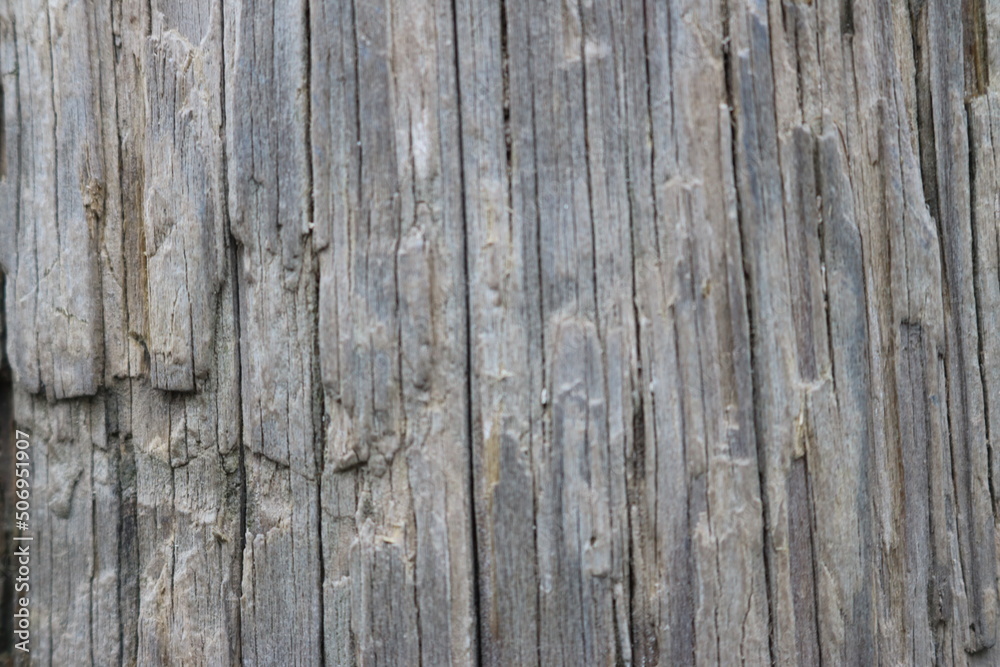 old wood texture