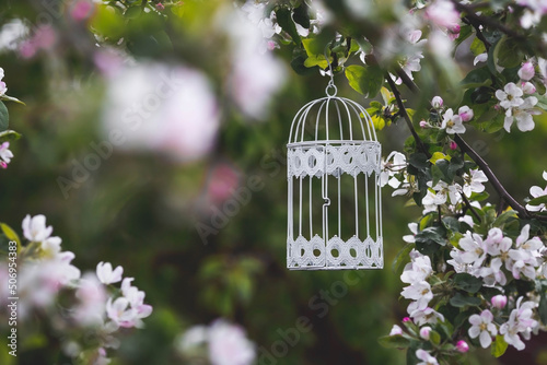 Valokuvatapetti A beautiful, white, decorative metal bird cage hanging in a sunny summer garden on a blooming apple tree