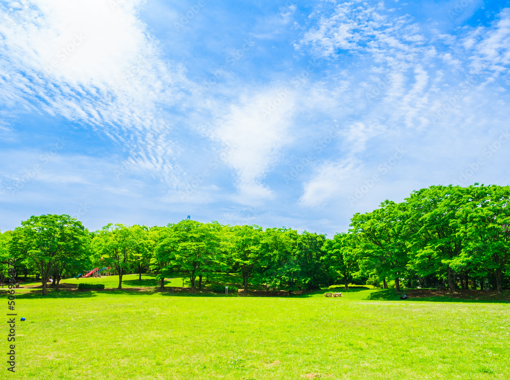 青空と新緑の公園 青空と新緑の公園