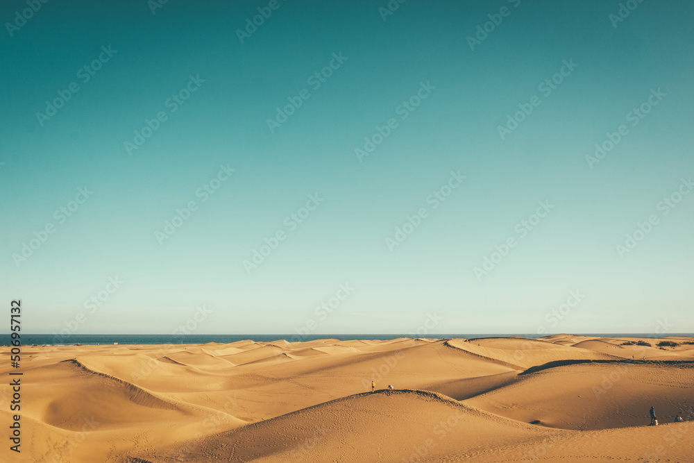 Naklejka premium sand dunes in the desert