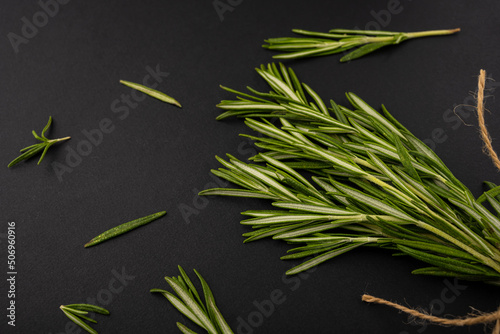 Rosemary branch on a black background. Fresh rosemary.