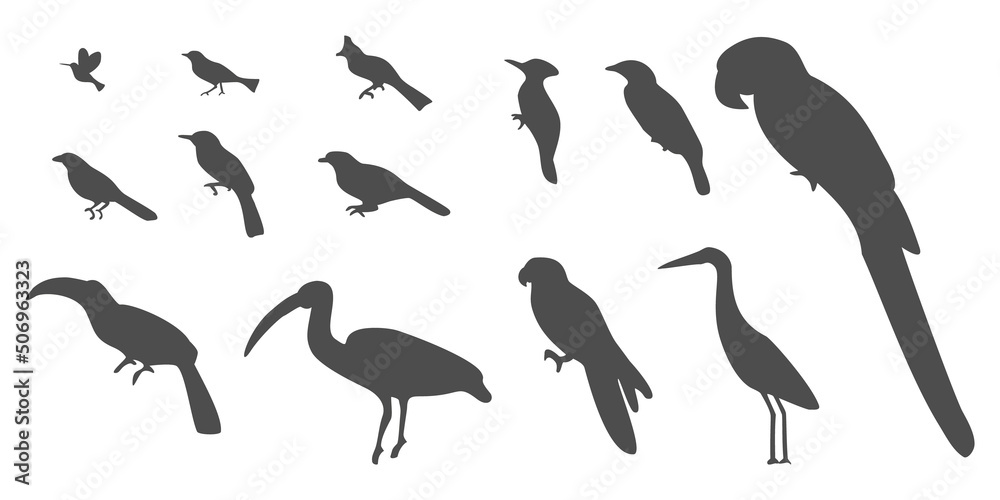 Set of silhouettes of birds. Illustration of birds collection isolated on white background. Vector illustration.