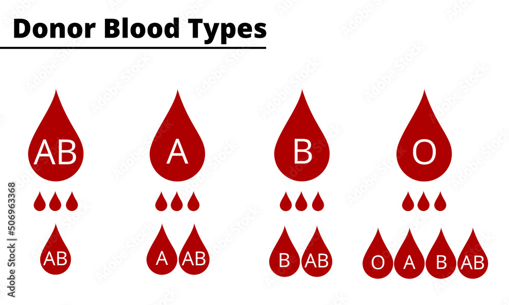Donor blood types compatibility diagram. ABO blood group system. Vector illustration. Stock