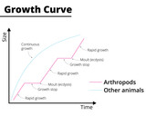 Growth curve of arthropods and other animals. Vector illustration.