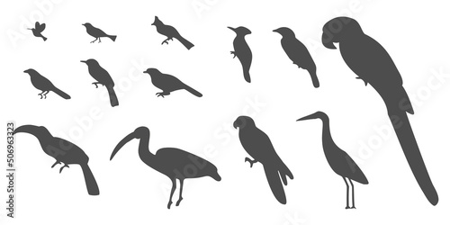 Set of silhouettes of birds. Illustration of birds collection isolated on white background. Vector illustration.