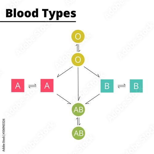 Blood types compatibility diagram. ABO blood group system. Vector illustration.