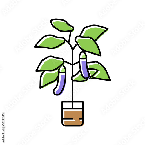 eggplant in pots color icon vector illustration