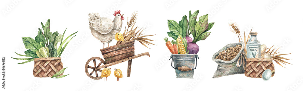 Set of watercolor illustrations of farm products, organic vegetables ...