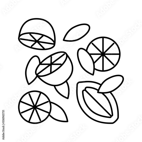 composition lemon line icon vector illustration