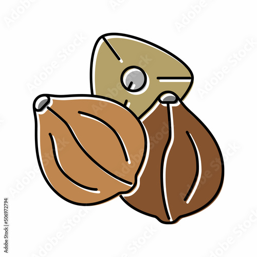 buckwheat seed color icon vector illustration