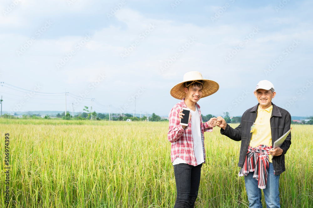 asian rice farmer, happy family father and son is holding smartphone  are hands fist bump for successful of new agricultural process at rice cultivation. concept organic farming,agriculture technology