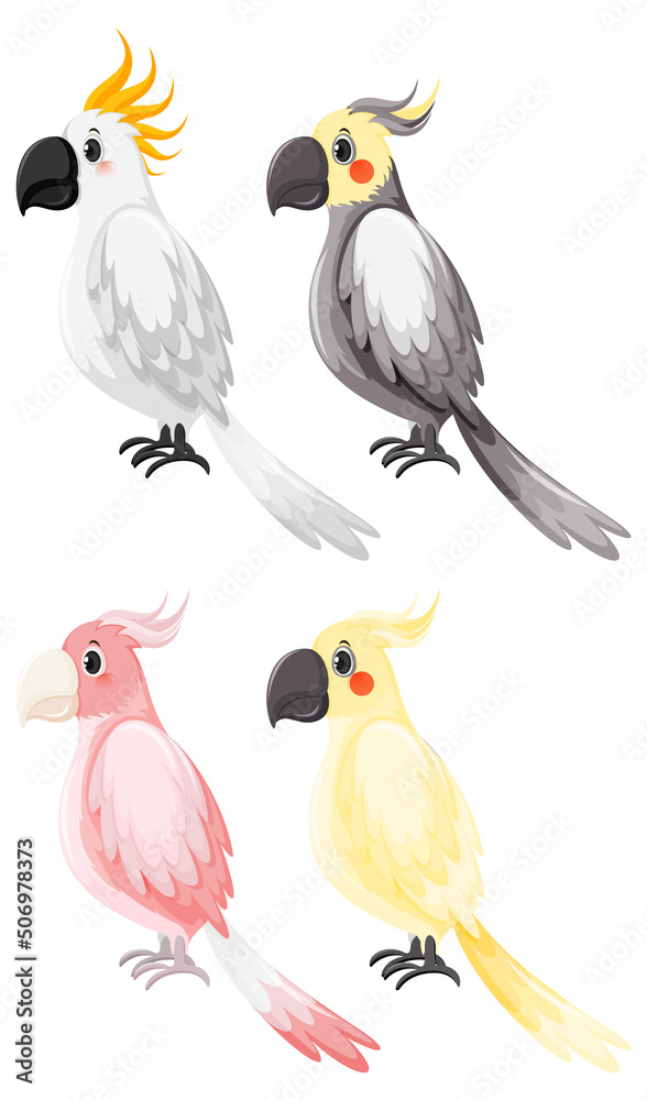 Obraz premium Set of different cockatiel birds in cartoon style