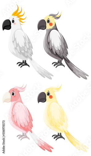 Set of different cockatiel birds in cartoon style