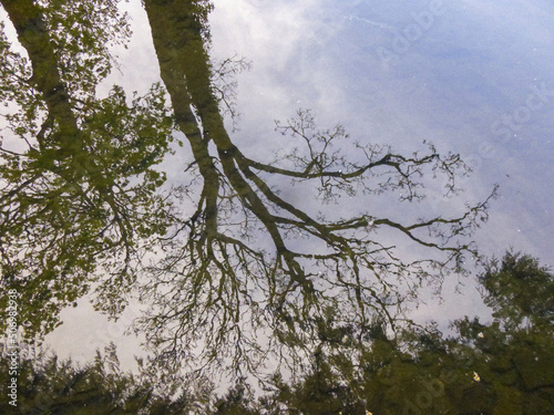 Reflection of trees in a river in Ireland.