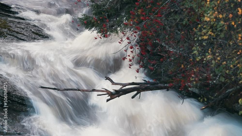 A rowan tree bent above the rushing stream of the white water. Long exposure, slow shutter. photo