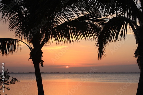 Palm sunset over water