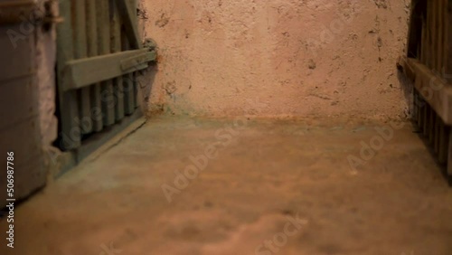 Forwarding shot of an old dirty basement floor in an abandoned old building with little light and wooden doors visible.