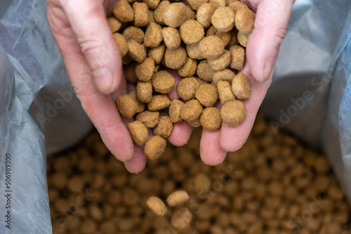 Pellets of dog food spilled out of the men's hands. A middle-aged man's hands hold brown round pellets in handfuls. The food falls into an open bag. Blurred motion. Close-up. Selective focus.
