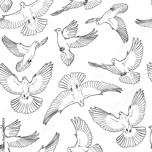 Seamless pattern with hand drawn dove outline. Line art style.