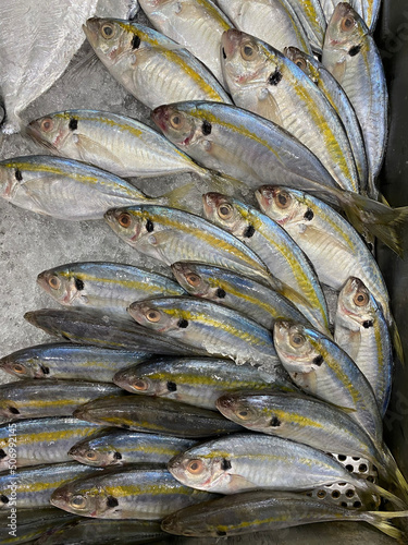 Photo of Philippine Fish Salay Ginto Karabalyas Yellowstripe Scad or Selaroides Leptolepis photo