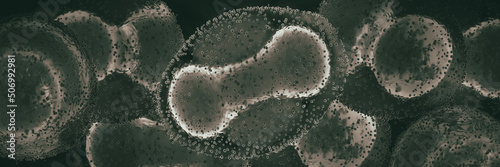 viruses close-up  (Monkeypox), 3d, banner photo
