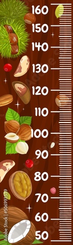 Kids height chart ruler with cartoon nuts. Vector growth meter with hazelnut, brazil, pecan and walnut or coconut seeds with green leaves on wood background. Wall sticker for child height measurement