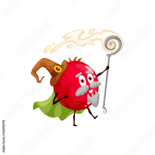 Happy rosehip wizard with magic staff. Funny magician in witch hat. Vector garden or wild berry character, cartoon fruit sorcerer, magic rose hip personage in cape. Smiling senior bearded enchanter