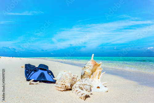 Underwater shells and flippers on the sand on the shore of the Indian Ocean.