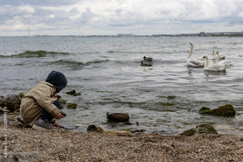 Fotografie, Obraz a little boy in a hood and a beige trench coat sits on the seashore and feeds th
