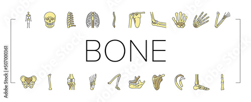 Bone Human Skeleton Structure Icons Set Vector