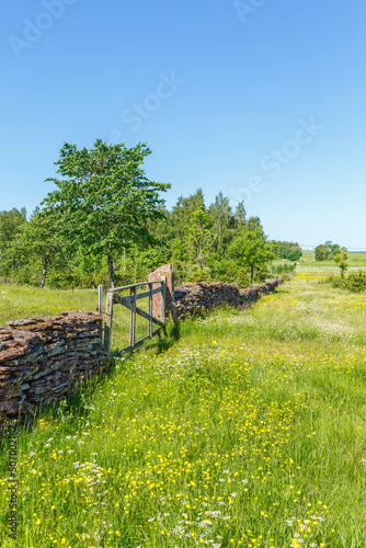 Flowering summer meadow with a stone wall and a gate in the countryside