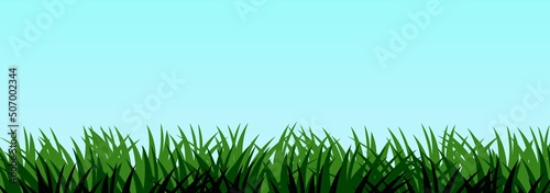 Grass. Nature rural landscape. Pasture overgrown. Overgrown dense lawn. Horizontal seamless illustration. Vector