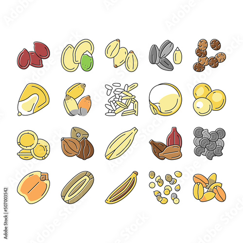 Seed Plant Agriculture Culture Icons Set Vector