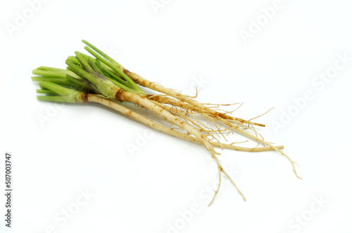 Close up fresh organic Coriander roots on white background. A small pile of fresh Coriander roots without leaves.