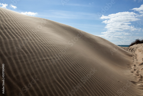 Sand dunes on the Black Sea near Anapa