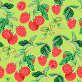 Seamless pattern of raspberries. Watercolor illustration. Isolated on a green white background.For design.