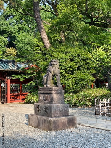 The guardian lion angel at the shrine of Japan, “Nezu shrine” year 2022 summer May 20th