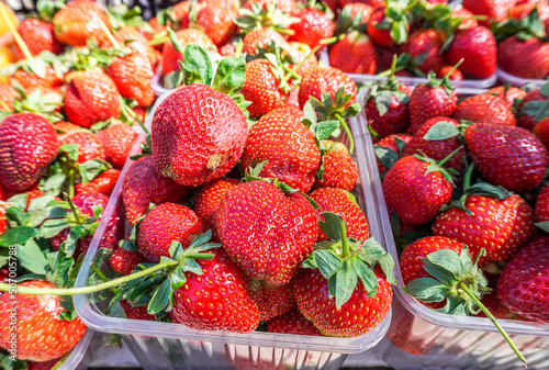 Fresh ripe strawberry in plastic boxes ready for sale at the farmer market