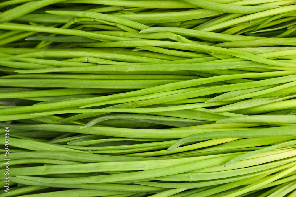 Chives lying on top of each other in a vegetable market for brokerage. Chives texture. Chives lying on top of each other in a vegetable market for brokerage. Chives texture.