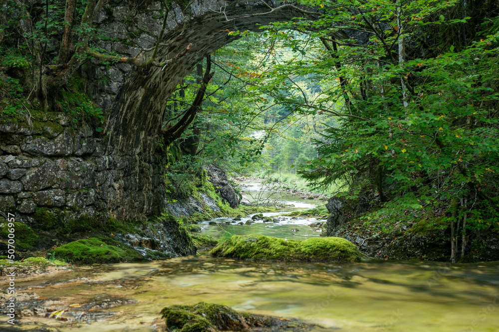 Obraz premium Steinbrücke im Wald