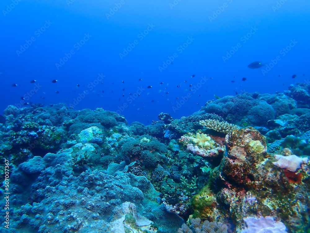 Underwater in Kume island, Okinawa